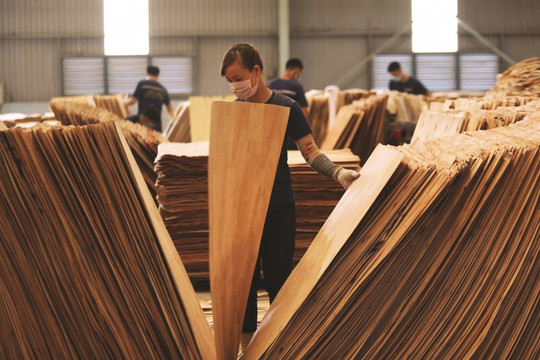 Xuất khẩu sang Hoa Kỳ sụt giảm mạnh: Bức tranh ngành gỗ khi nào "sáng" trở lại?