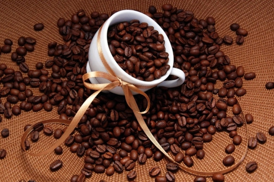 Giá cà phê hôm nay 25/3: Nhích nhẹ tại khu vực Tây Nguyên