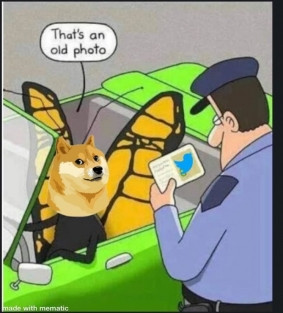 Dogecoin bật tăng 30% sau khi Elon Musk đổi logo Twitter thành hình chó Shiba