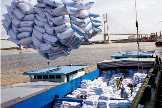 Xuất khẩu gạo Việt tháng 3 lập đỉnh mới: Doanh nghiệp kỳ vọng "thắng lớn" trong quý 2/2023