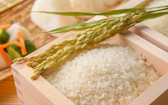 Giá lúa gạo hôm nay 14/4: Tăng 300 đồng đối với mặt hàng lúa