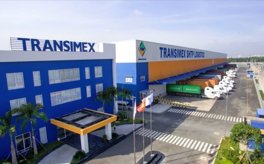 Không còn "hưởng lợi" từ công ty con, Transimex (TMS) báo lãi quý 1 giảm 80% cùng kỳ
