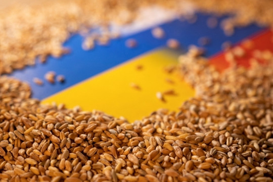 Ukraine cấm xuất khẩu ngũ cốc sang 5 nước châu Âu