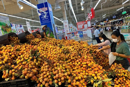 Ông lớn sở hữu chuỗi siêu thị GO!, Big C, Tops Market... dự kiến nhập 300 tấn vải thiều Bắc Giang