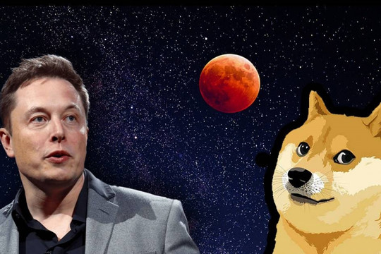 Elon Musk bị tố giao dịch nội gián Dogecoin