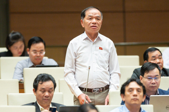 Đại biểu Quốc hội Lê Thanh Vân: Đề nghị thanh tra, kiểm toán đặc biệt EVN