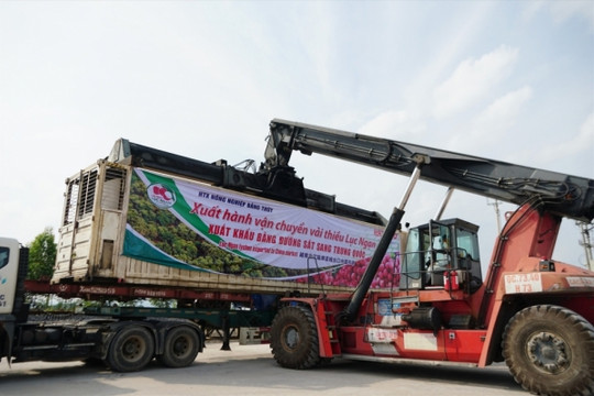 Việt Nam xuất khẩu 56 tấn vải thiều sang Trung Quốc bằng đường sắt