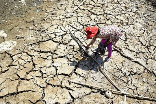 El Nino bắt đầu từ tháng 6, Việt Nam đối diện nguy cơ xảy ra khô hạn diện rộng