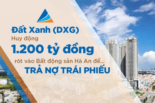 Đất Xanh (DXG) huy động 1.200 tỷ đồng rót vào Bất động sản Hà An để... trả nợ trái phiếu