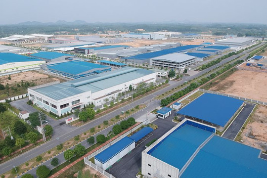Công ty con của Damsan (ADS) được chọn đầu tư cụm công nghiệp 74ha tại Thái Bình