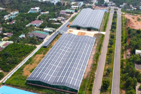 Lâm Đồng yêu cầu dừng mua bán điện mặt trời mái nhà của doanh nghiệp đầu tư sai quy định