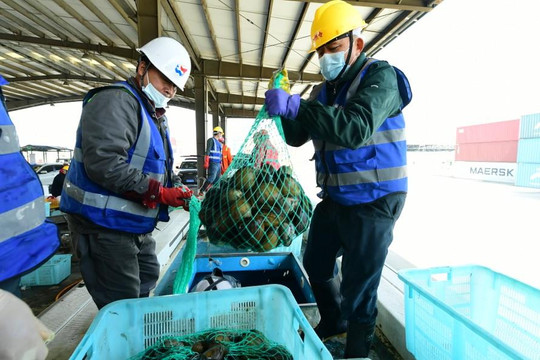 Trung Quốc cấm nhập khẩu thực phẩm từ một số tỉnh của Nhật Bản