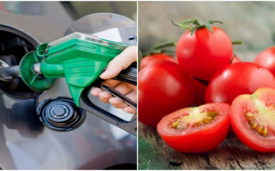 Cà chua đắt hơn xăng - chuyện lạm phát kỳ lạ ở Ấn Độ