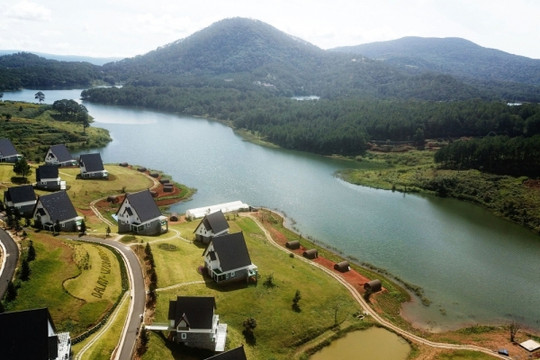 Sacom Tuyền Lâm kiến nghị chuyển đổi rừng thông Đà Lạt làm khu nghỉ dưỡng
