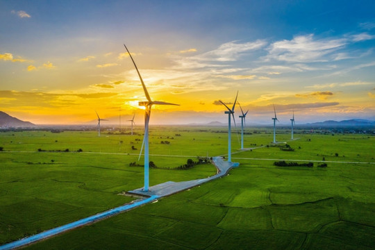 Điều chỉnh chủ trương đầu tư dự án điện gió hơn 1.700 tỷ tại Quảng Trị