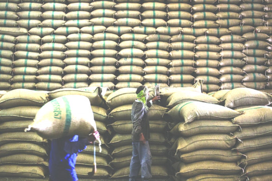 Giá gạo có thể tăng thêm 70%, cổ phiếu TAR, LTG, PAN còn điểm mua vào?
