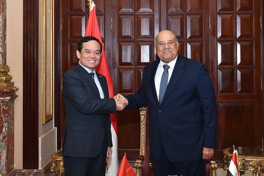 Việt Nam, Ai Cập cần đàm phán, ký kết hiệp định hợp tác kinh tế, thương mại