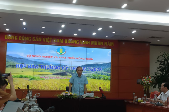 Việt Nam sẵn sàng cho cơ hội xuất khẩu gạo chưa từng có