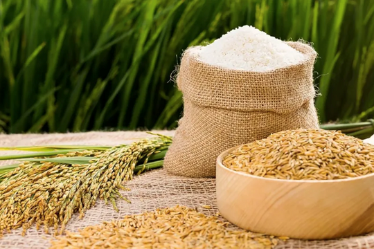 Bắt sóng giá gạo, một cổ phiếu ngành lương thực vừa có 5 phiên trần liên tiếp