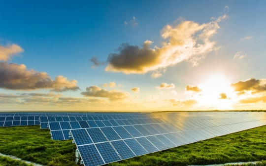 Bộ Công Thương yêu cầu EVN giải quyết 14 dự án điện mặt trời hơn 1.400 tỷ đồng bị áp sai giá