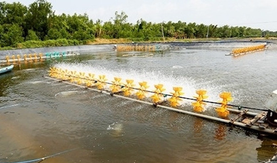 Thanh Hoá tiếp tục ‘bác’ đề xuất chuyển dự án nuôi thủy sản thành khu nghỉ dưỡng
