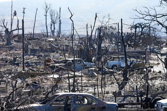 Vì sao thảm họa cháy rừng ở Hawaii vô cùng tàn khốc?