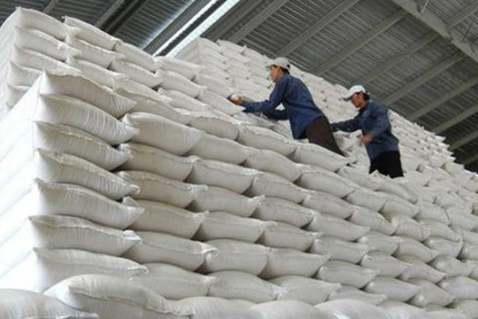 Bảo đảm đủ gạo dự trữ quốc gia cho các tình huống đột xuất