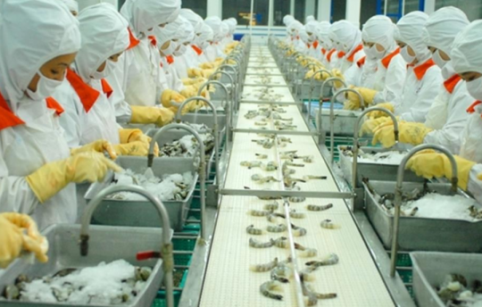 Trung Quốc ngừng nhập khẩu hải sản từ Nhật, các doanh nghiệp Việt kỳ vọng lãi lớn nửa cuối năm
