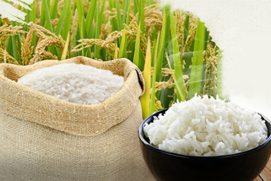 Sau loạt tin từ Ấn Độ, Myanmar – giá gạo Việt lập đỉnh mới