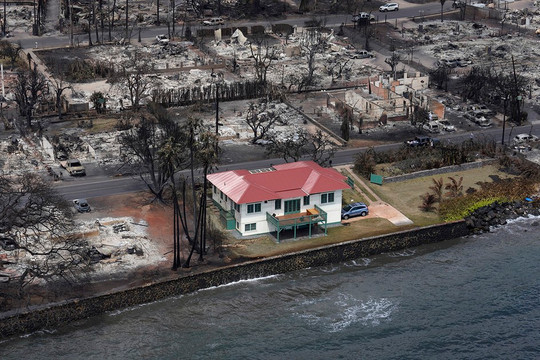 'Ngôi nhà thần kỳ' sống sót giữa thảm hoạ cháy rừng Hawaii