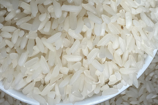 Giá gạo xuất khẩu giảm liên tiếp, trong nước neo cao, doanh nghiệp dừng mua bán