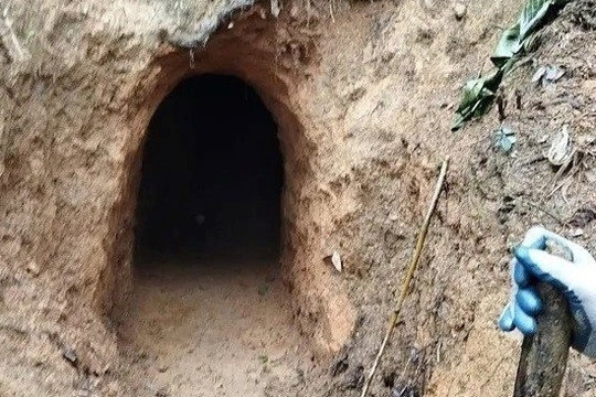 Phát hiện hầm khai thác vàng trái phép trong rừng đặc dụng ở Thanh Hóa