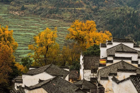 Những ngôi làng cổ Trung Quốc đáng ghé thăm nhất vào mùa thu