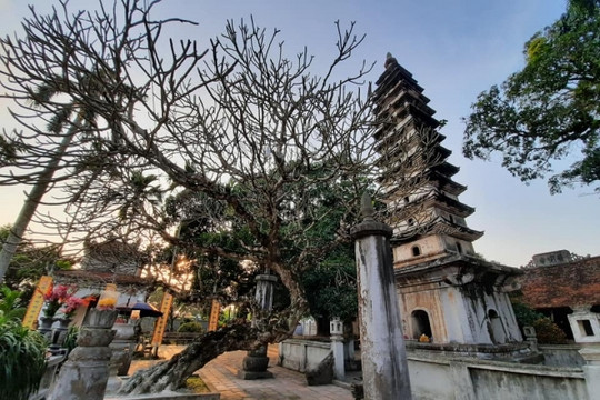 Ngôi chùa tháp bằng gạch cao nhất Việt Nam: Là nơi cất giữ 3 bảo vật quốc gia đặc biệt quý hiếm, một trong "An Nam tứ đại khí" cũng từng nằm ở đây