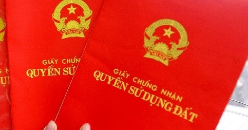 Khởi tố nguyên chủ tịch phường ở Đồng Nai liên quan vụ chiếm đoạt 53 thửa đất