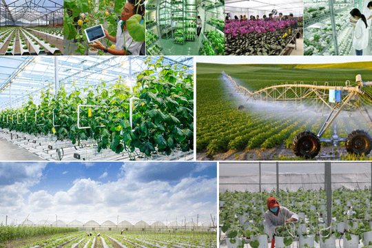 Phấn đấu 2030, 50% trang trại, HTX, doanh nghiệp nông, lâm, thủy sản tiếp cận công nghệ, quy trình sản xuất nông nghiệp tuần hoàn