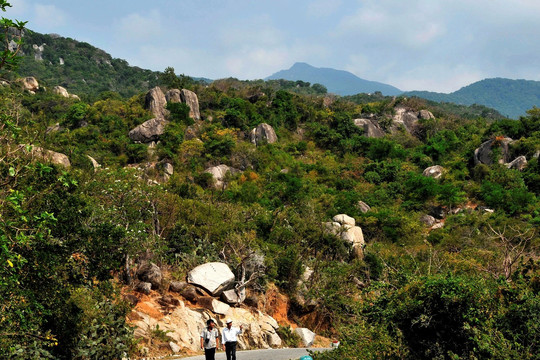Ninh Thuận nói gì về 100 biệt thự 'ngốn' 12ha rừng Vườn Quốc gia Núi Chúa?