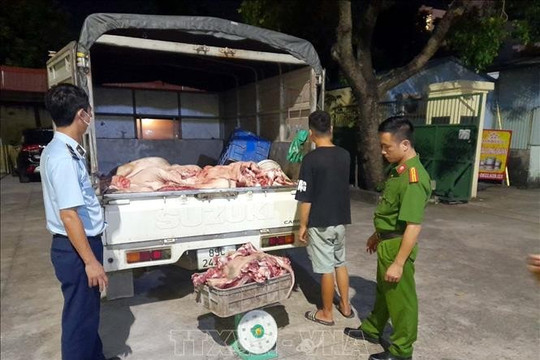 Hưng Yên: Phát hiện hơn 1,3 tấn thịt lợn không đảm bảo an toàn thực phẩm