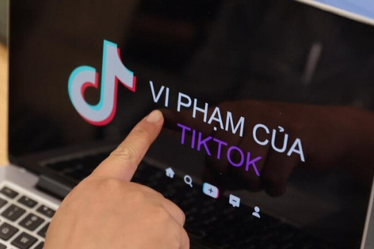 TikTok Việt Nam vi phạm 7 lỗi nghiêm trọng, nhiều nội dung tiêu cực cho trẻ em