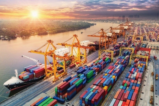 Doanh nghiệp vận tải biển đồng loạt báo kết quả kinh doanh tăng trưởng mạnh