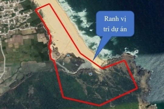 Bình Định chuyển đổi 0,7ha đất rừng xây khu nghỉ dưỡng cao cấp