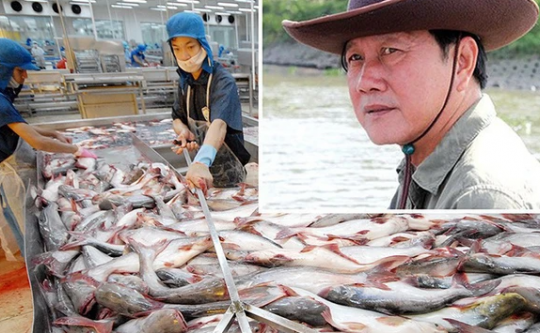 “Vua cá tra” Dương Ngọc Minh sa cơ, tài sản lần lượt về tay những người giàu nhất Việt Nam