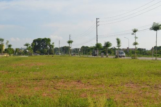 Lộ diện khu đất 35.000m2 ven Hà Nội sắp được đấu giá, xây nhà ở xã hội