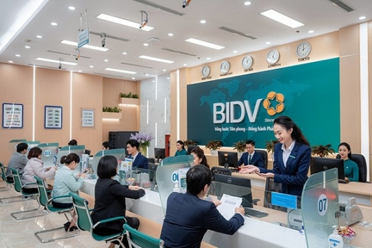 BIDV siết nợ một doanh nghiệp họ Licogi
