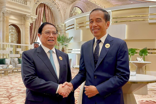 Sớm phê chuẩn Hiệp định phân định vùng đặc quyền kinh tế Việt Nam-Indonesia