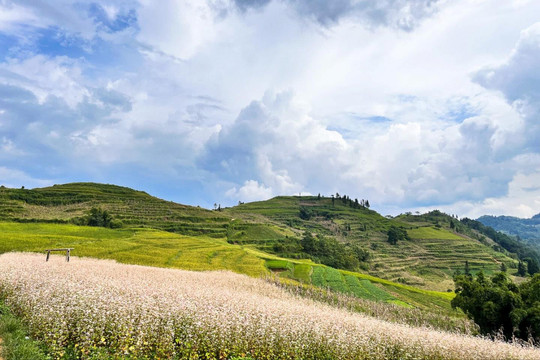 Phát hiện một thảo nguyên xanh mướt cách Hà Nội chừng 400km: Rộng hàng trăm ha, du khách nhận xét 'Thụy Sĩ thu nhỏ' của miền Bắc