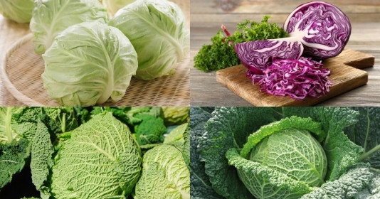 4 loại rau xanh giá rẻ không lo thuốc trừ sâu vừa ngon vừa tốt cho sức khỏe: Chuyên gia nói nên đưa vào bữa ăn thường xuyên