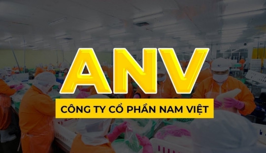 Nam Việt (ANV) báo lãi bốc hơi 99% trong quý 3, cổ phiếu vẫn được săn đón