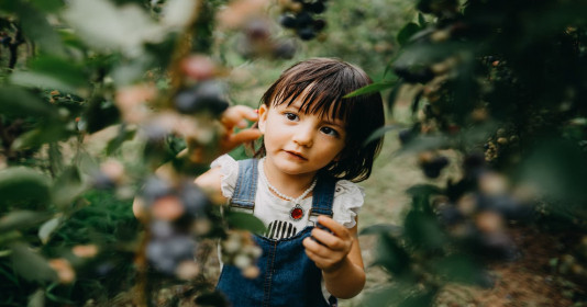 4 điều khác biệt mà cha mẹ Nhật Bản làm để nuôi dưỡng những đứa trẻ khỏe mạnh nhất thế giới