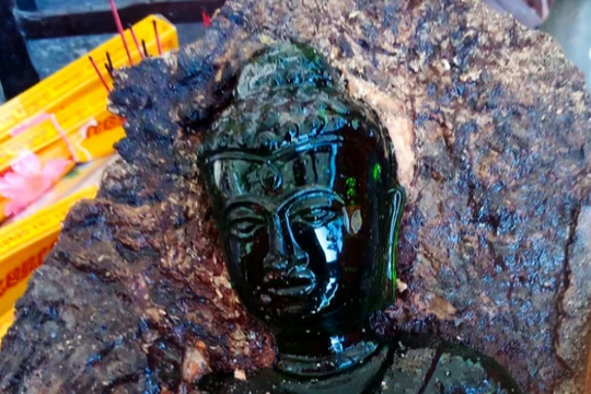 Đốn cây xoài trong ngôi chùa cổ, bất ngờ phát hiện báu vật bằng ngọc lục bảo niên đại hơn 100 năm giữa thân cây